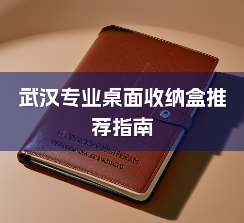 武汉专业桌面收纳盒推荐指南-1