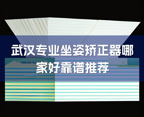 武汉专业坐姿矫正器哪家好靠谱推荐