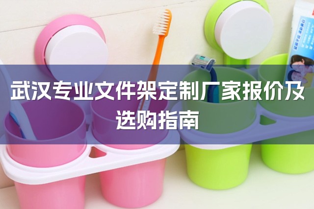 武汉专业文件架定制厂家报价及选购指南